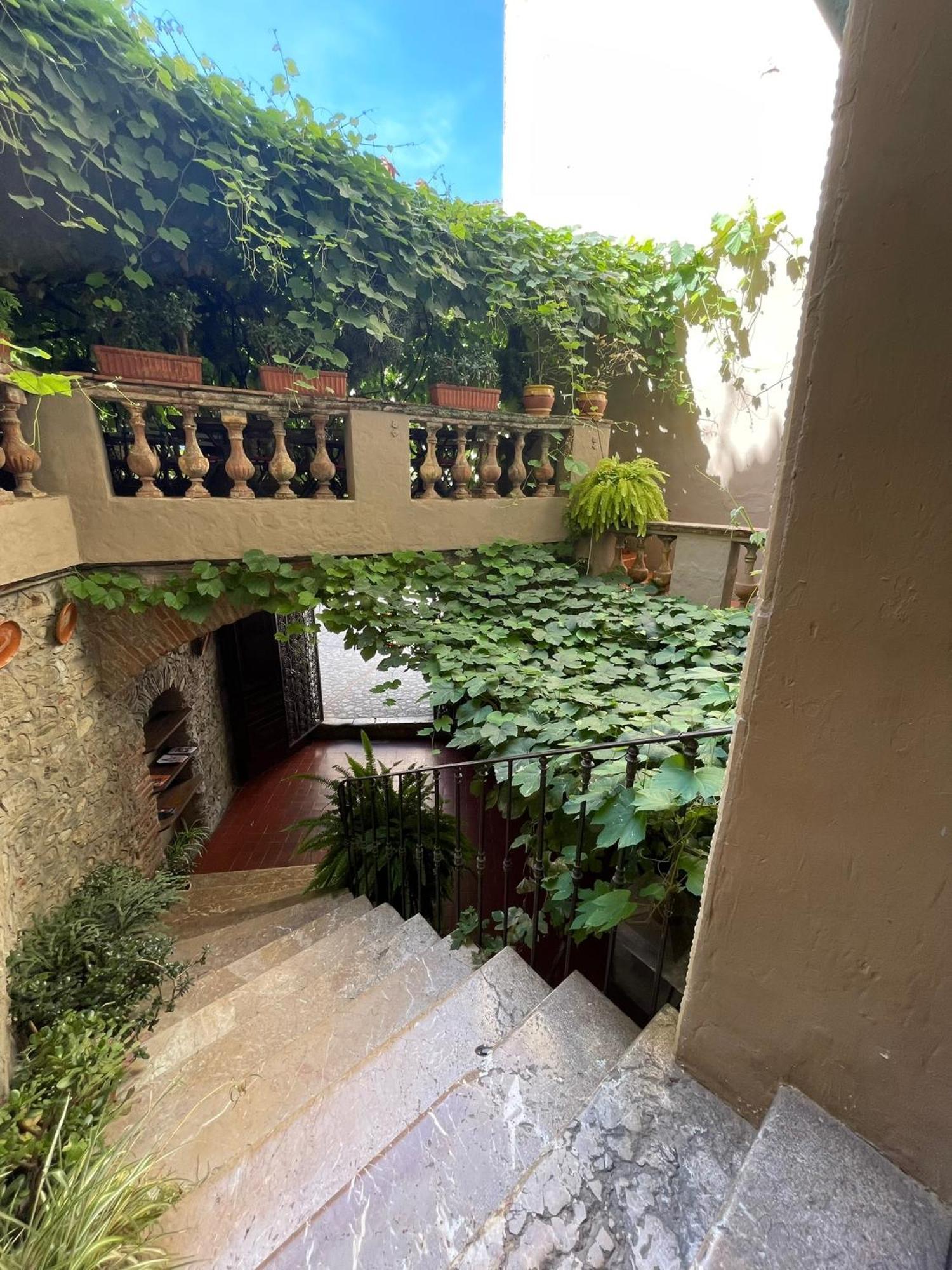 Hotel Vidal Céret Exteriör bild