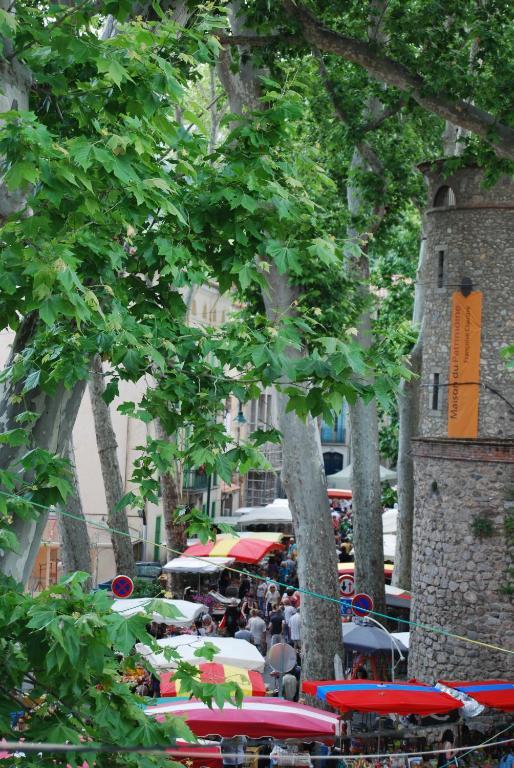 Hotel Vidal Céret Exteriör bild